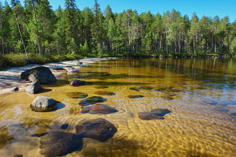 карелия, озеро кереть, остров пахтан Жаркий день фото превью