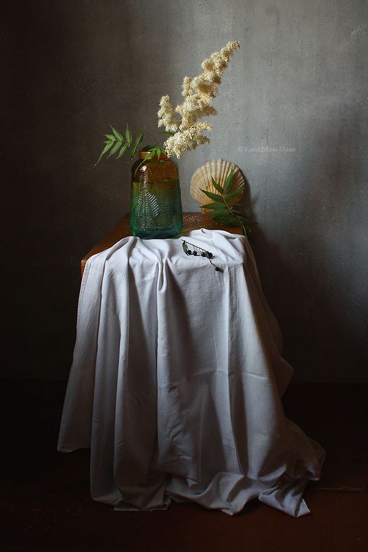 натюрморт, лето, рябинник, кот летний фото превью