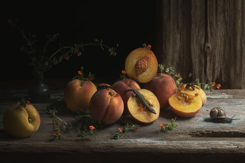 фото превью