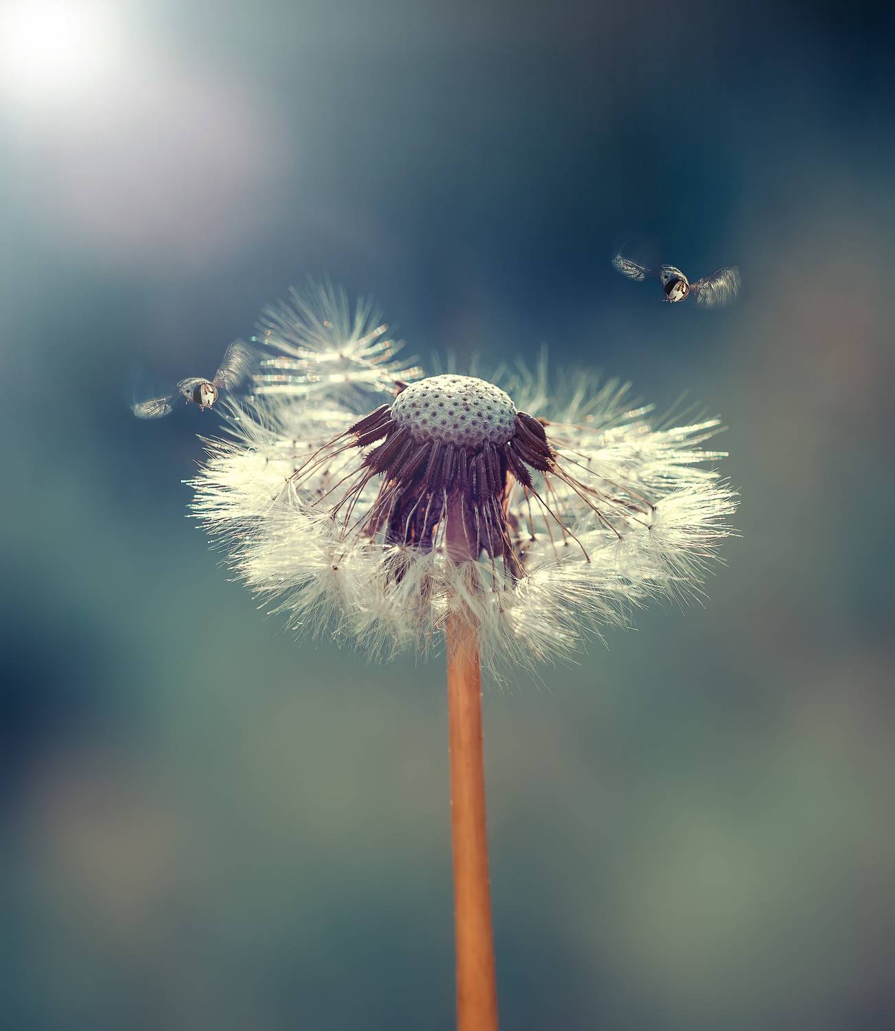 , Рагинская Ольга