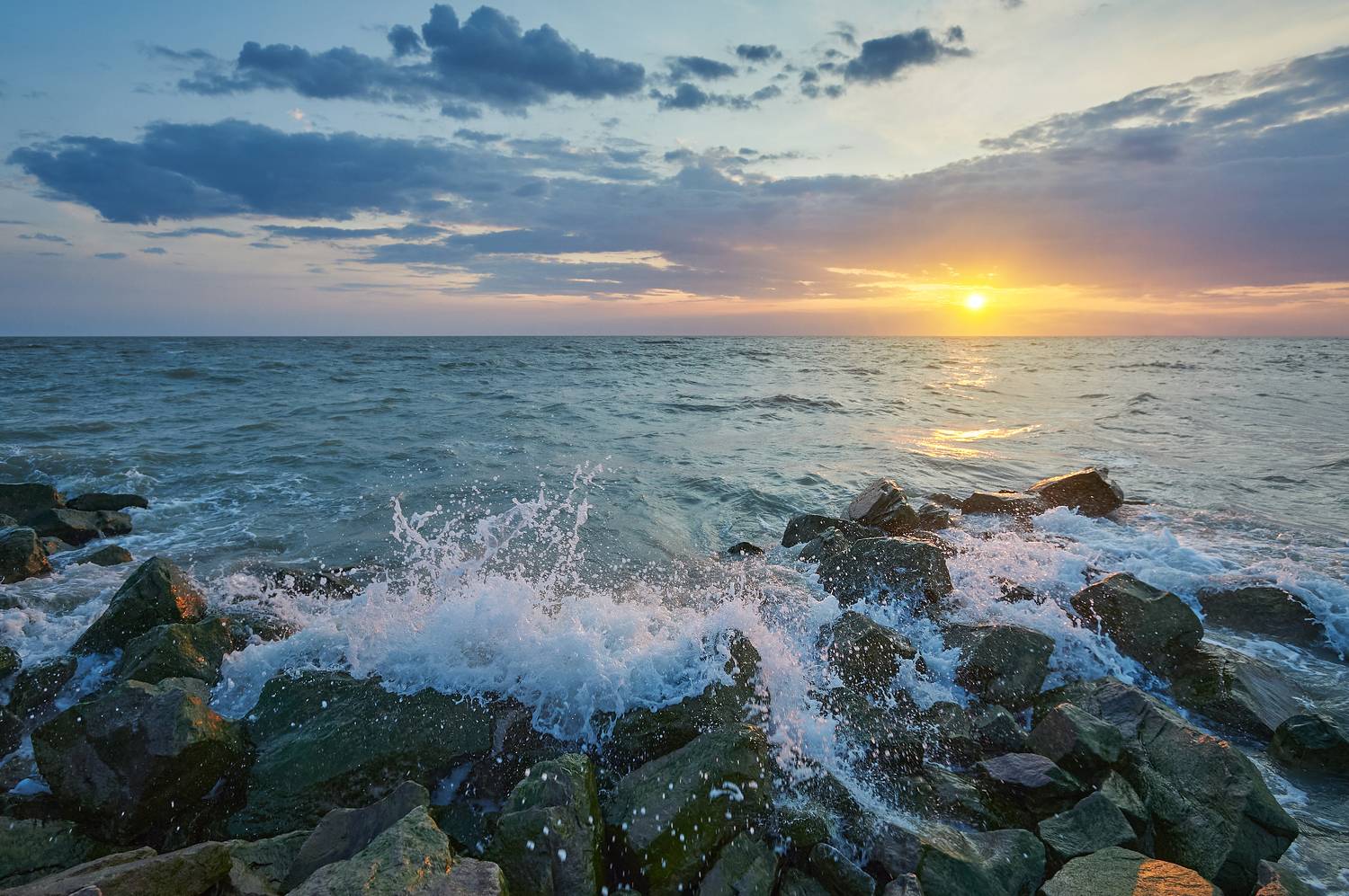 , Бурцев Дмитрий