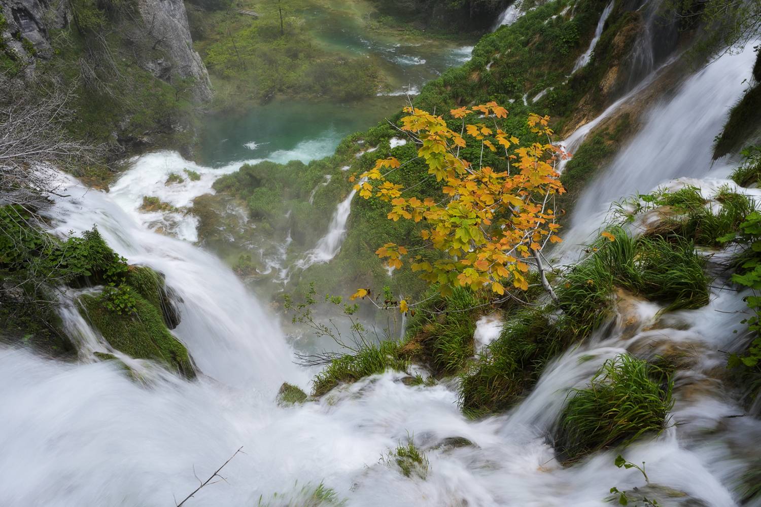 , Stefan Chirobocea