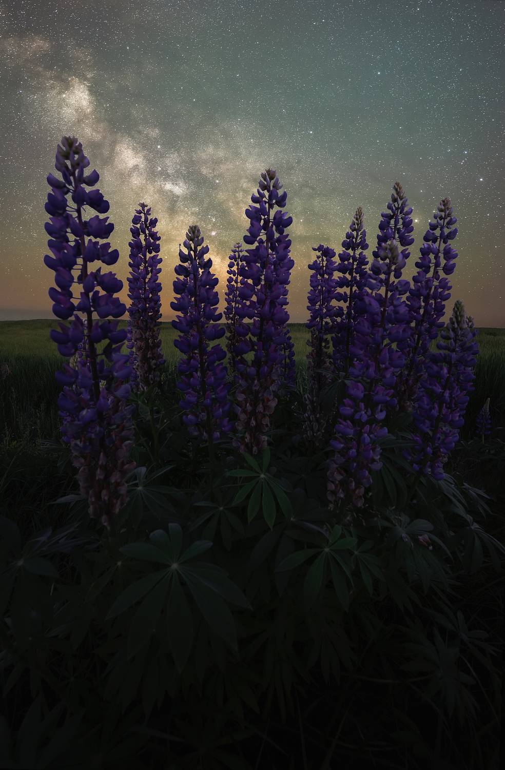 , Захаров Дмитрий