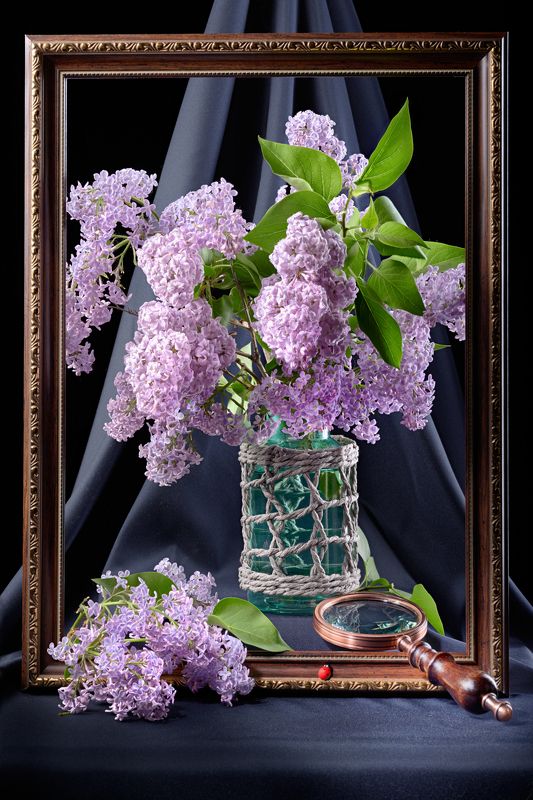 Этюд романтический, энтомологический... фото превью