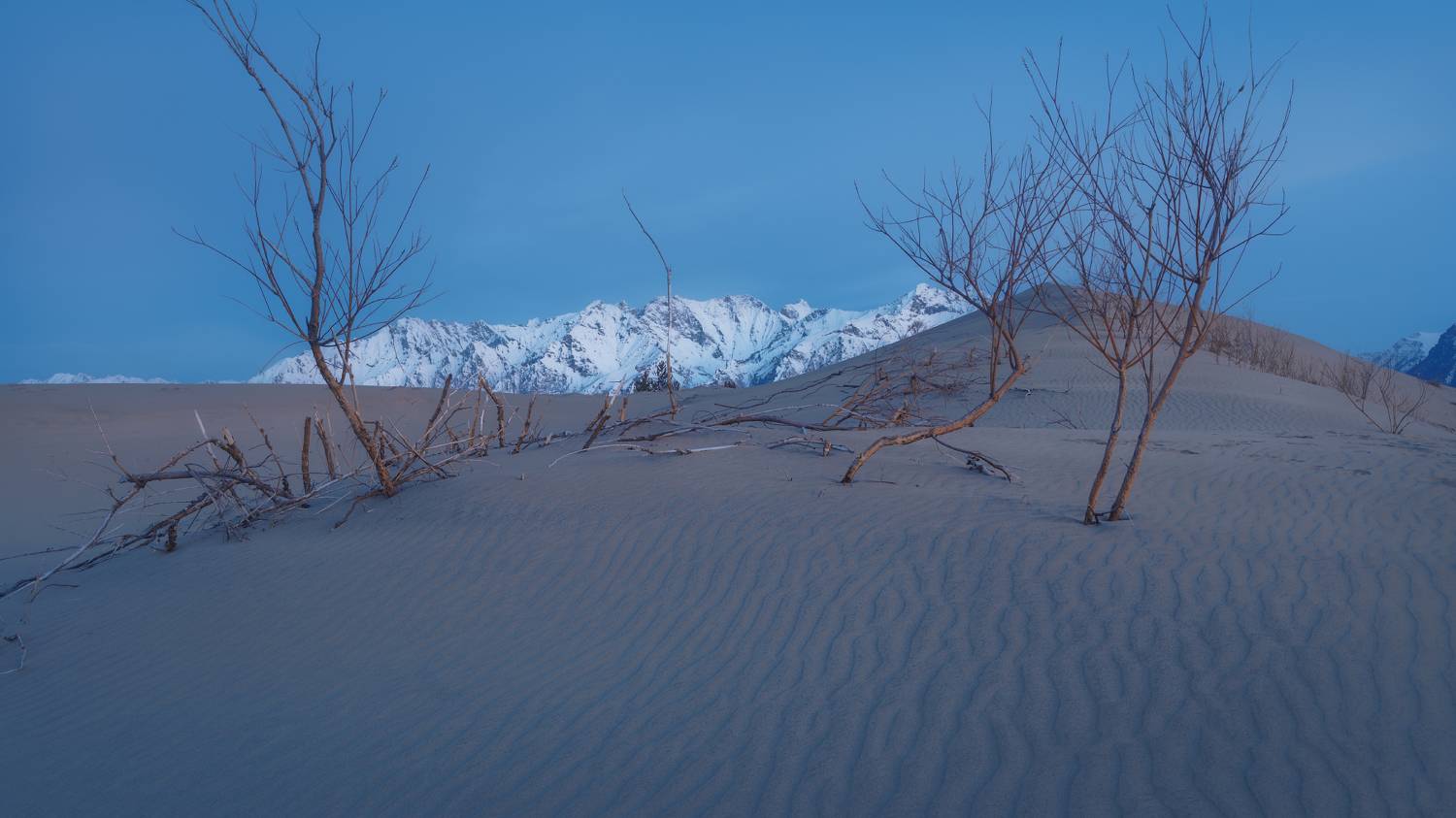 забайкальский край чарские пески чара пустыня утро, Шишкин Дмитрий