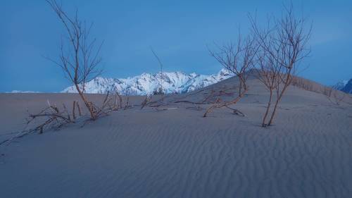 В свете утренних сумерек