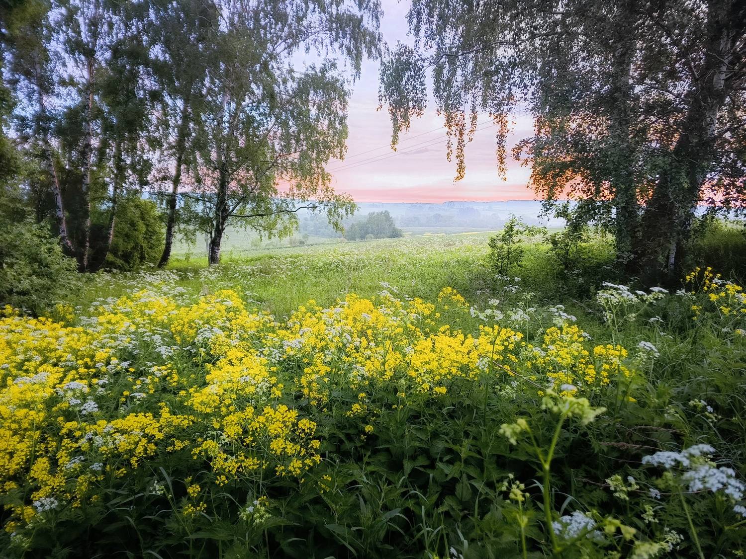 , Кондрашова Светлана