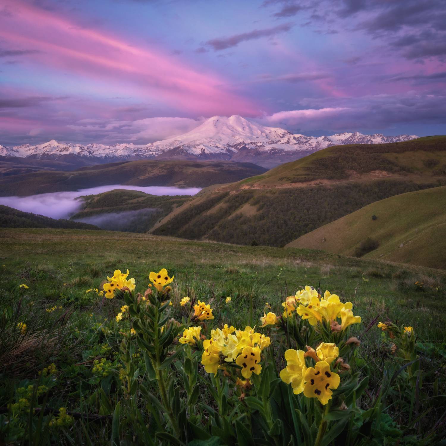 кавказ, Андрей Грачев