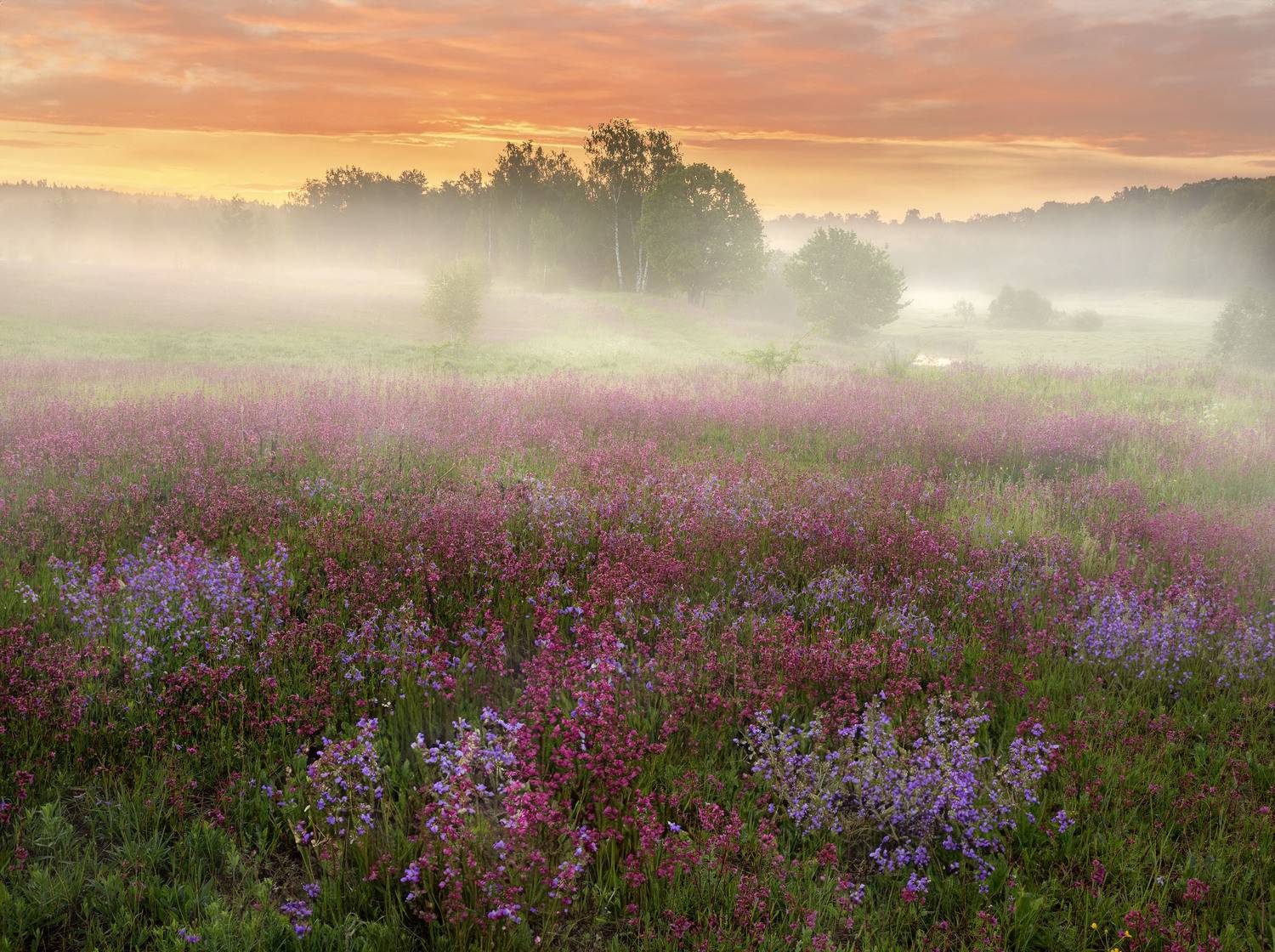 Фототуры с Владимиром Рябковаым, #topnature #russpasibo #magic_shots #lovelyRussia #sunset_vision #exclusive_sky  #exclusive_shots #loves_russia2 #photoarena_nature #nature_sultans #nature_perfection #rsa_sky #rsa_sunset #photorussia #rsa_naturepics #suns, Владимир Рябков