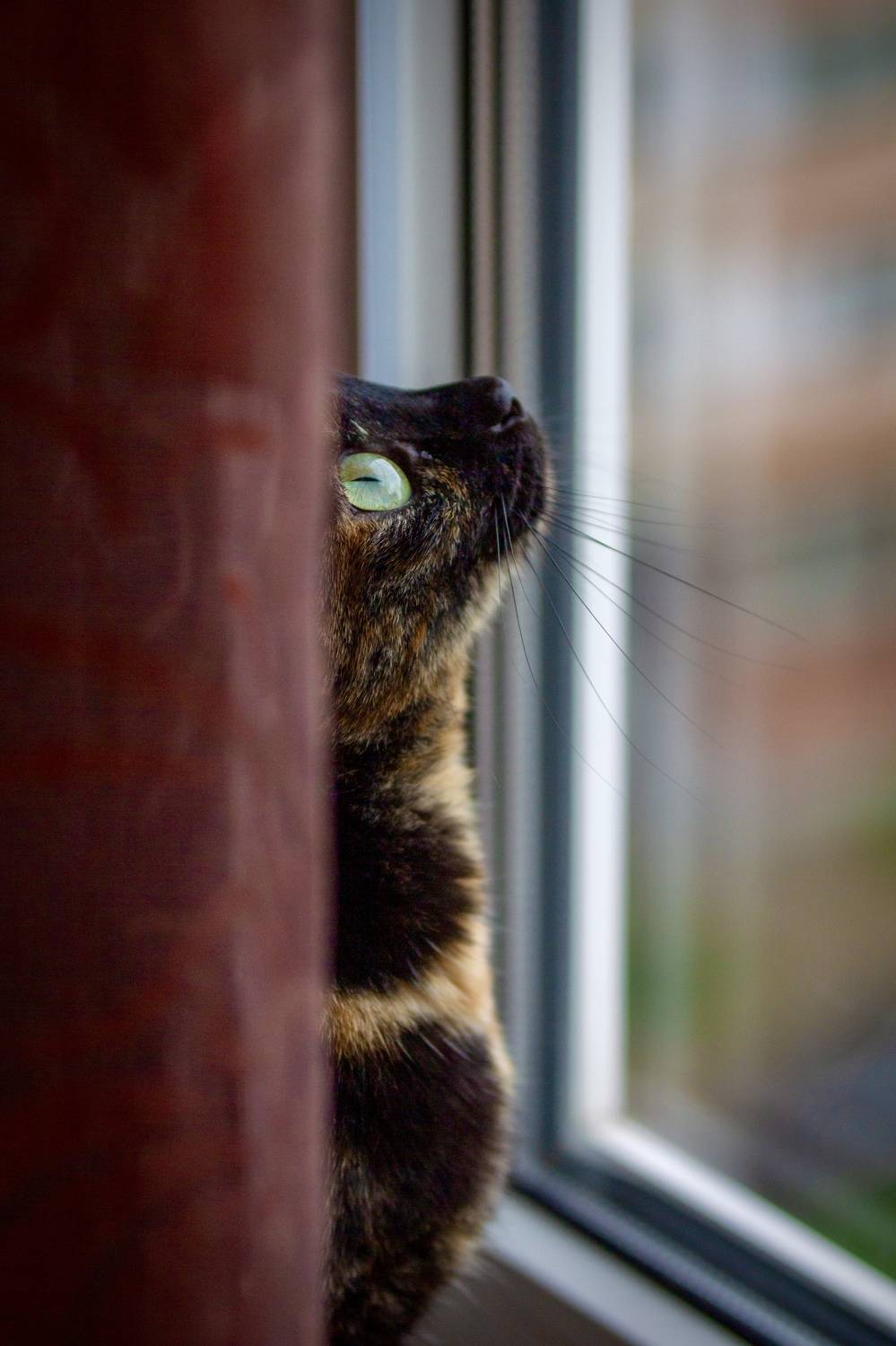 , Сергей Фаренюк