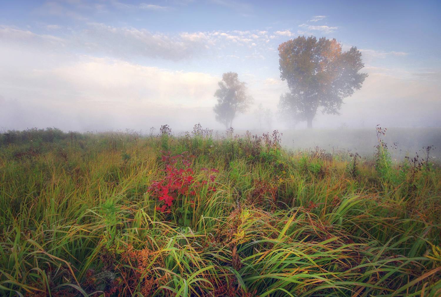 , Чичкин Валерий