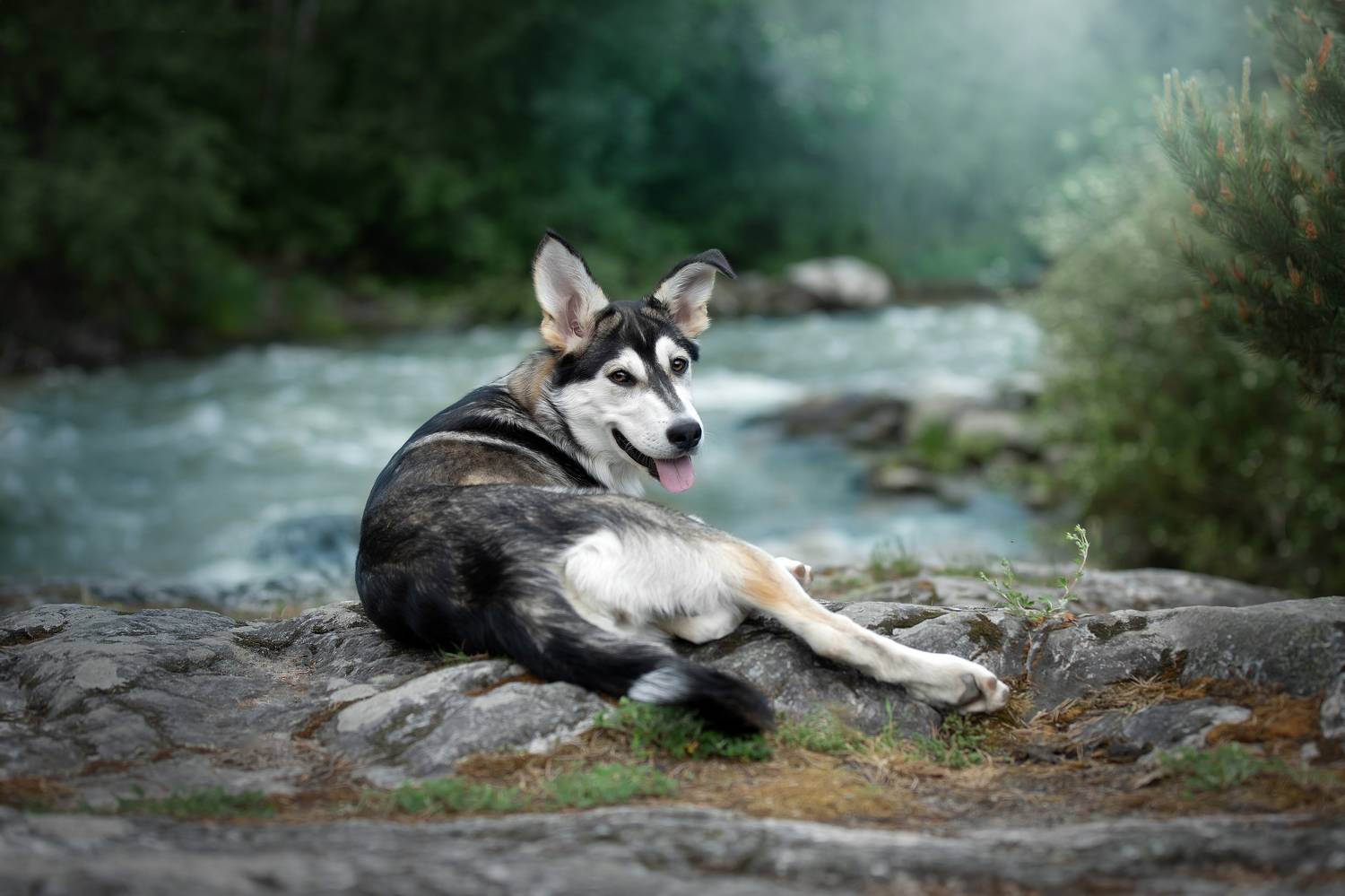 , Светлана Писарева