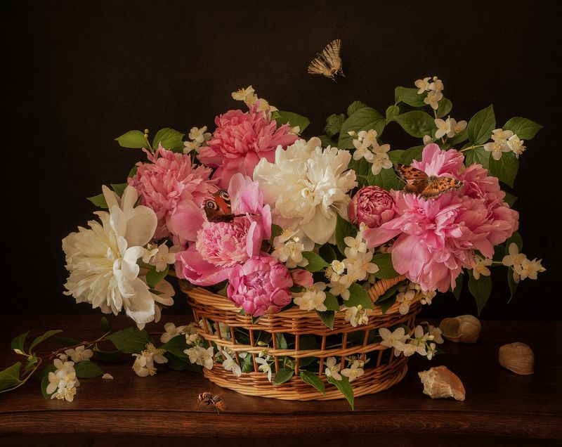 фото превью