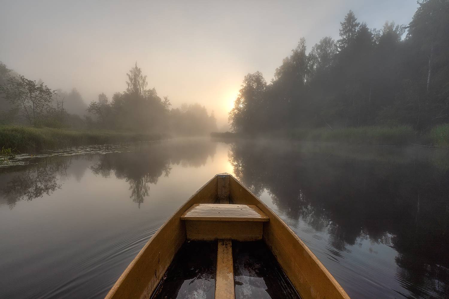 , Alexander Pashenichev