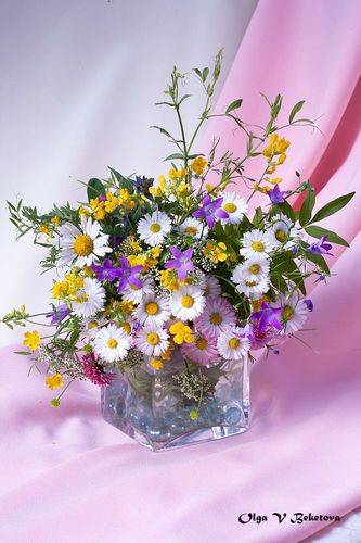 Июньские цветы