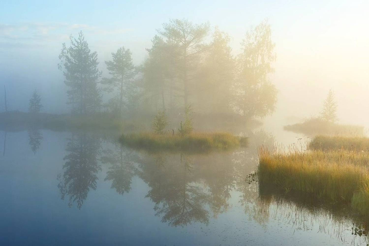 , Петр Косых