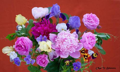 Большой букет с пионами