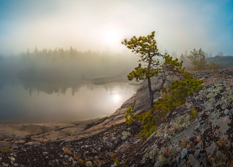 Летний туман фото превью