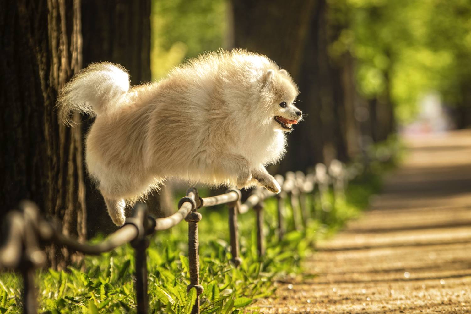 , Зубкова Юлия