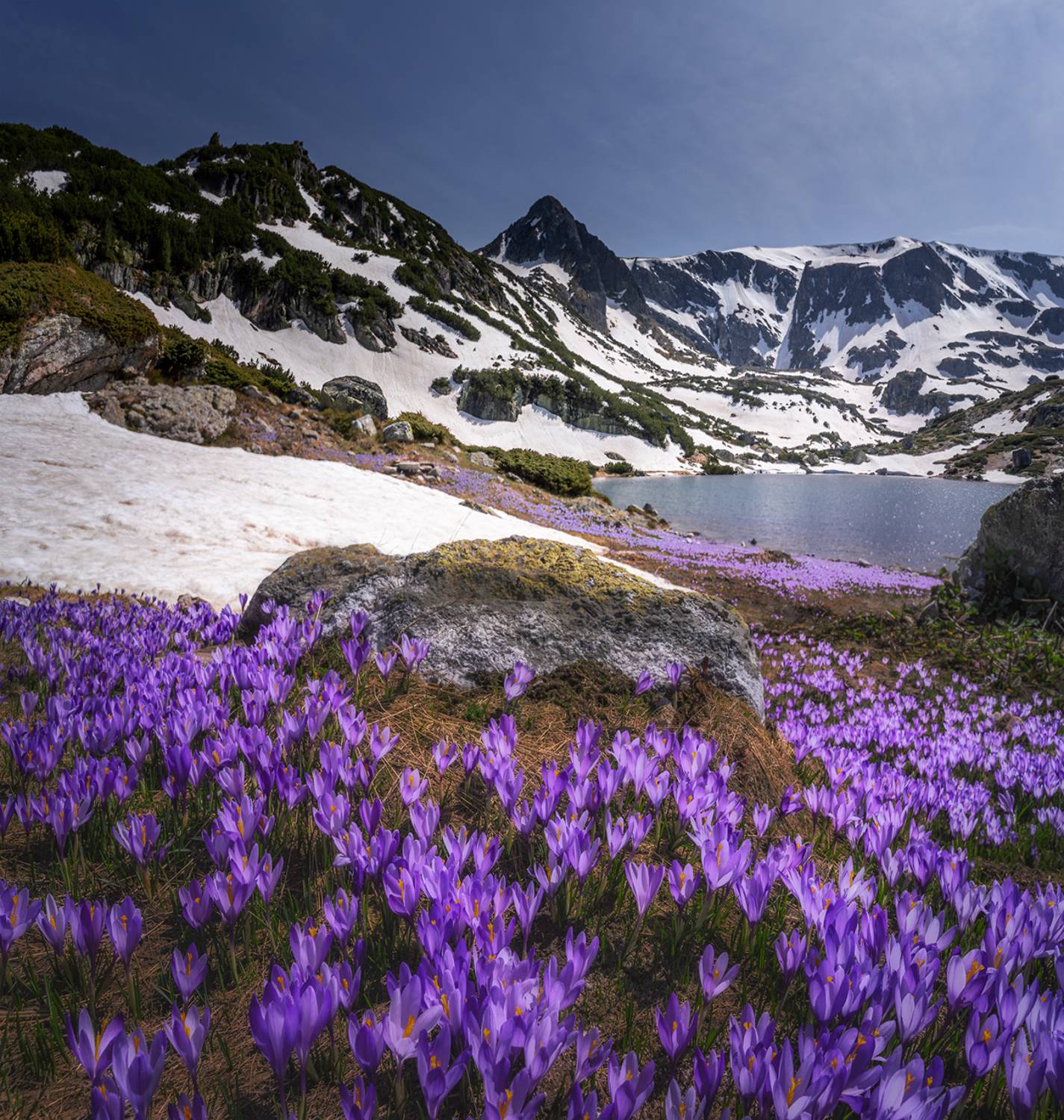 landscape nature scenery spring peak snow crocus clouds mountain пейзаж природа зима весна горы вершина, Александър Александров