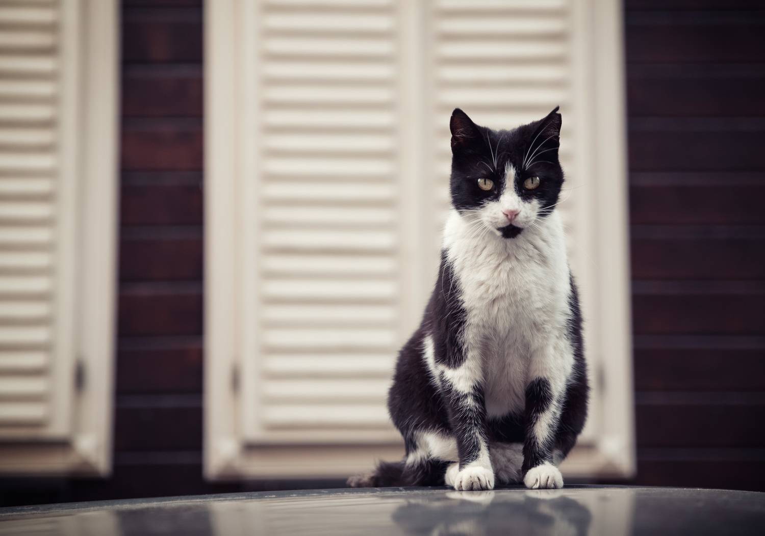 , Рагинская Ольга