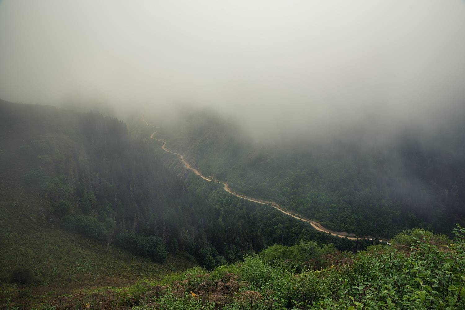 , Рагинская Ольга