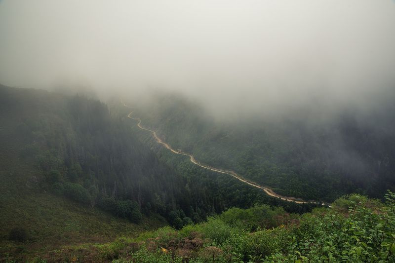 Туман надвигается фото превью