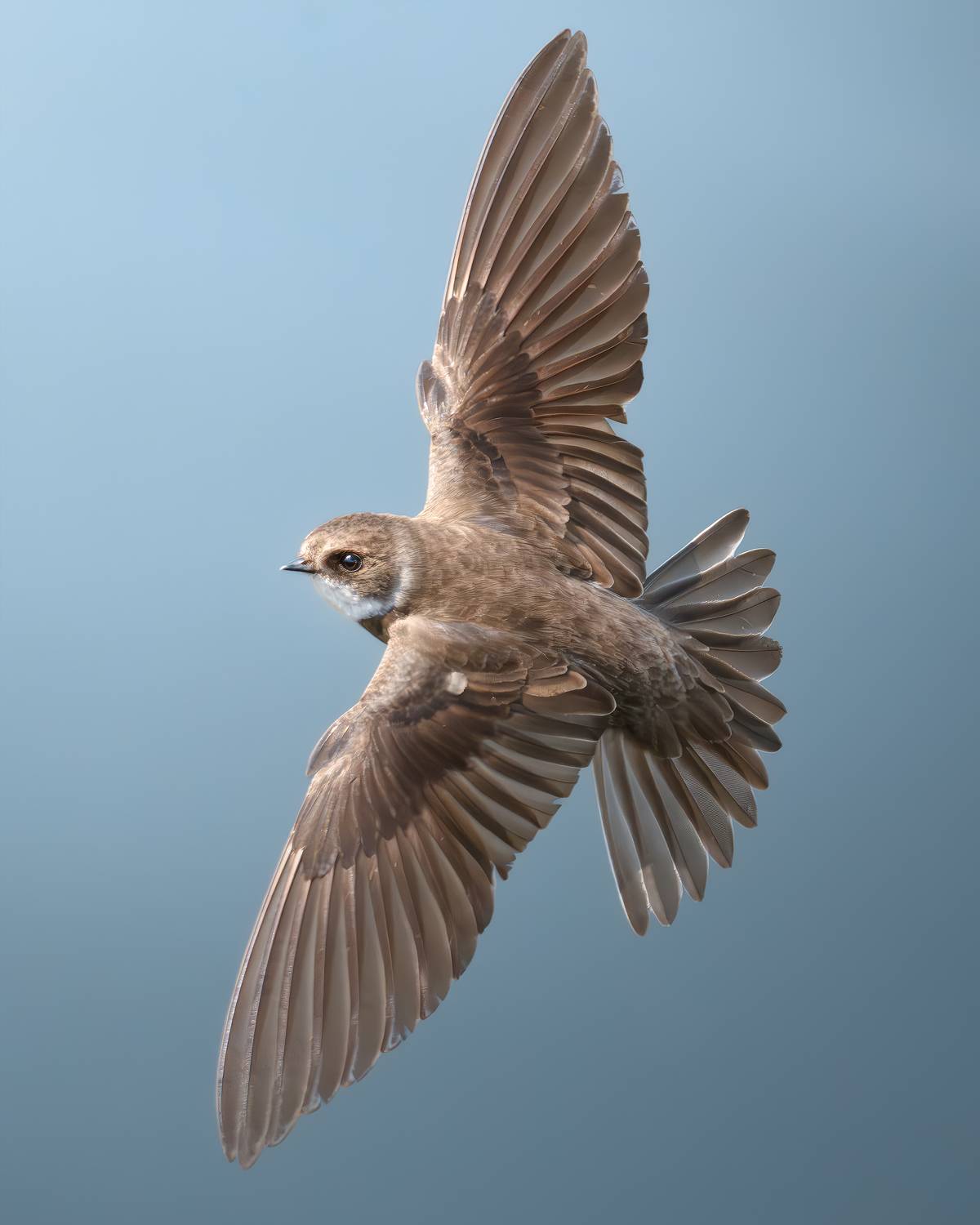 , Поляков Михаил