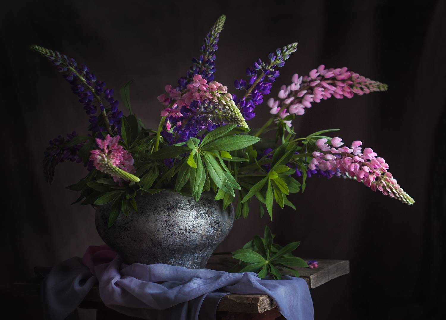 , Хвойнова Елена