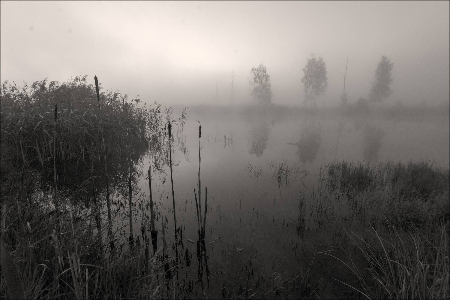 , Георгий Сапожников