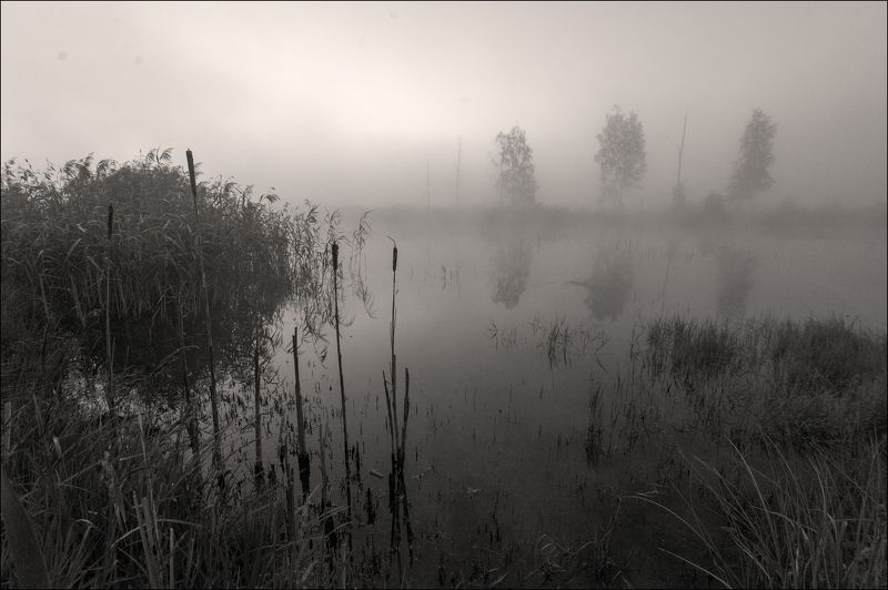 5 часов, утор фото превью