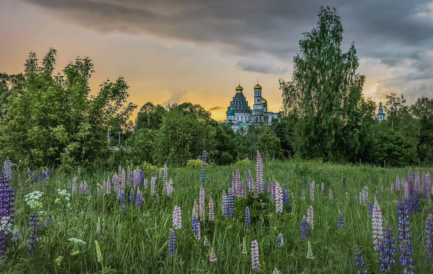 новый иерусалим, Вячеслав Бирюков
