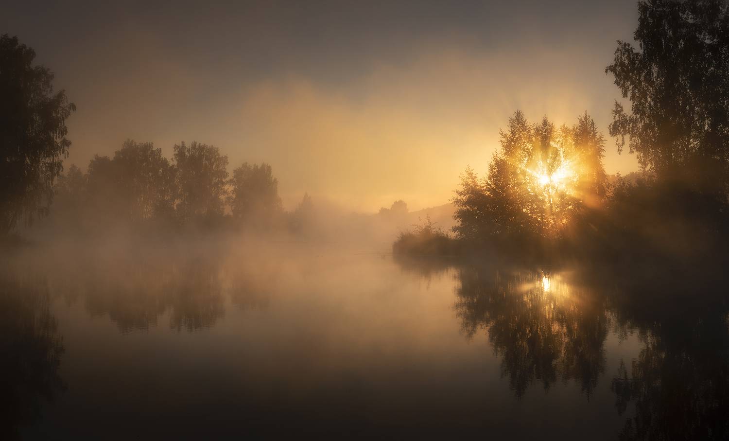 , Татьяна Бирюкова