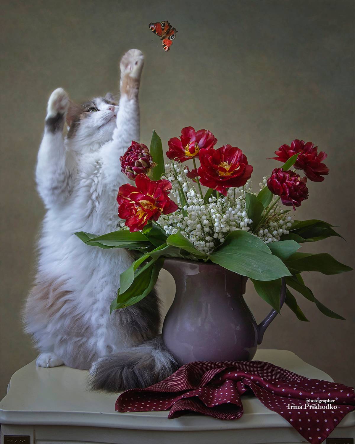 постановочное фото, животные, кошки, питомцы, забавные животные, букеты, цветы, Приходько Ирина