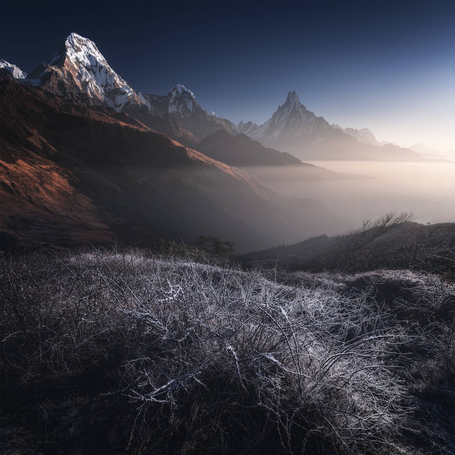 , Политова Анна