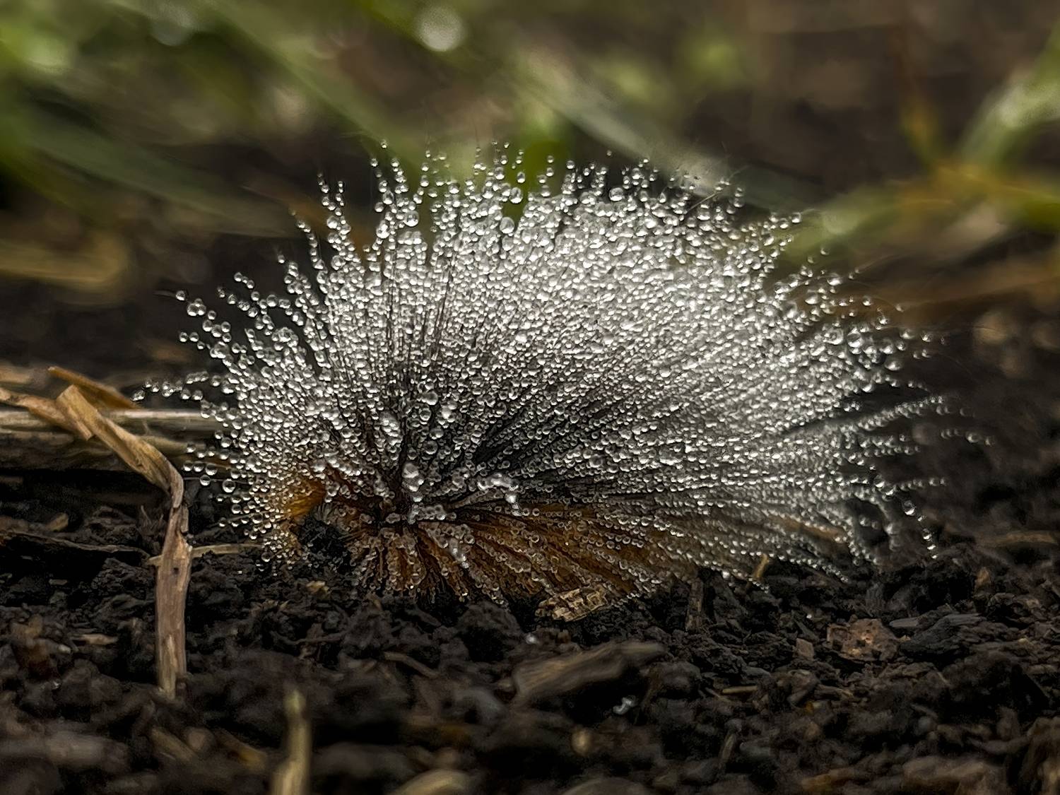 , Пупонин Сергей