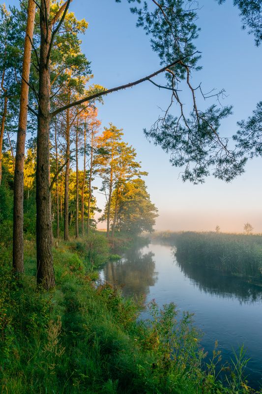 *** фото превью