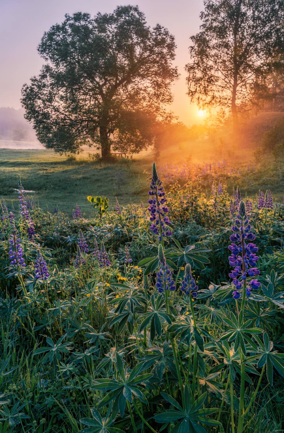 , Евгений Ерохин