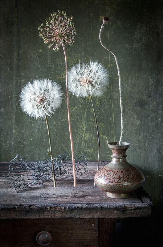 Новая жизнь фото превью