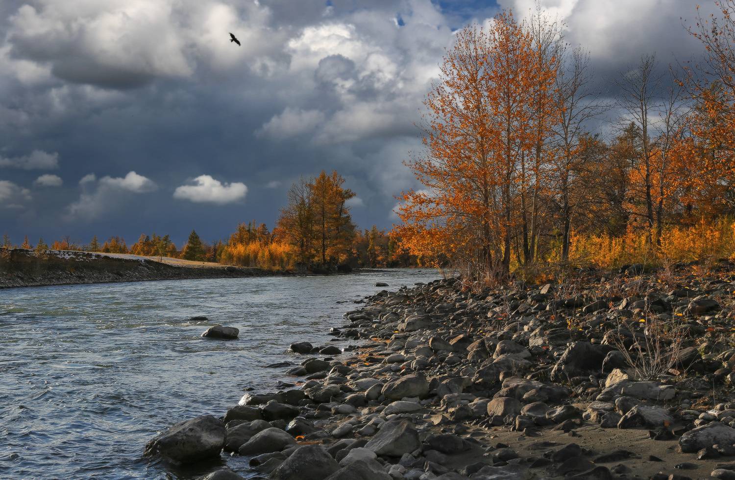 алтай, чуя, горный алтай, Галина Хвостенко