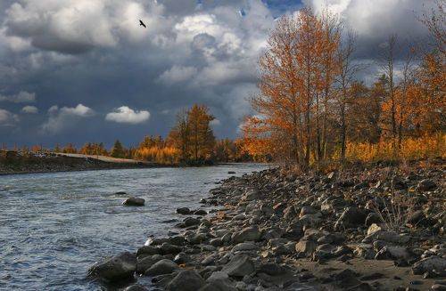 Осеннее небо над Чуей