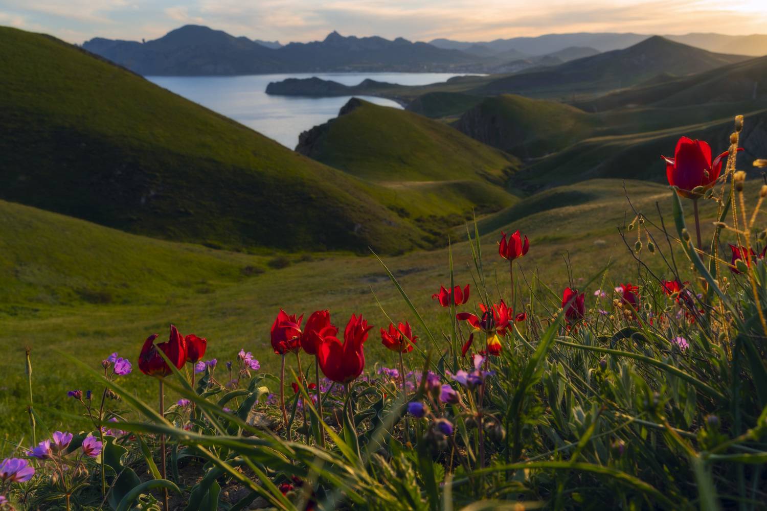 , Юлия Мальцева