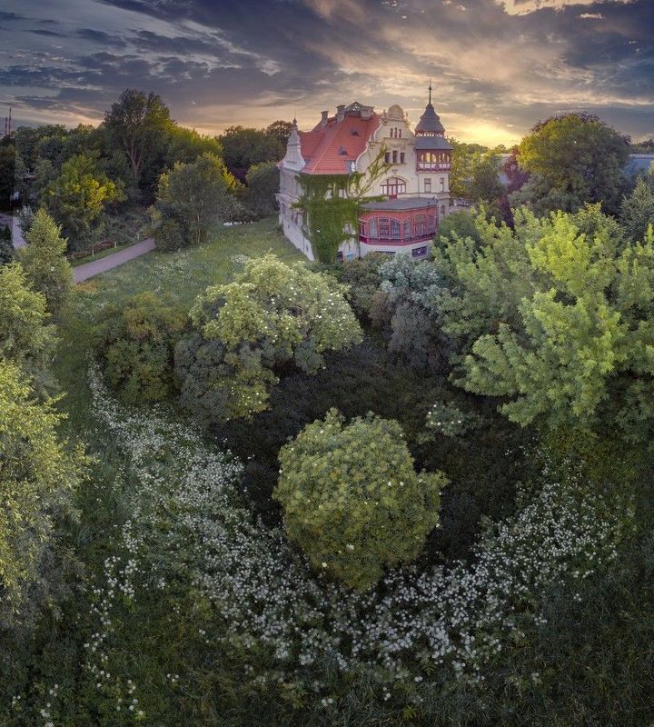 Парк Клепача фото превью