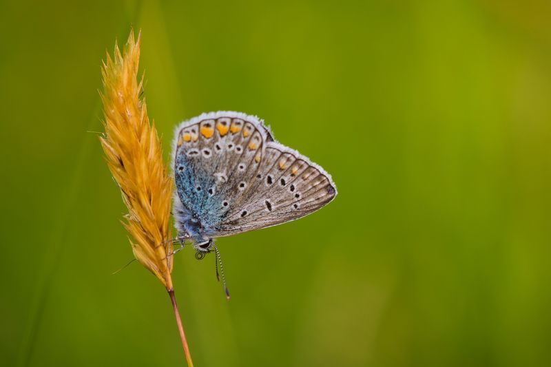 2024 фото превью