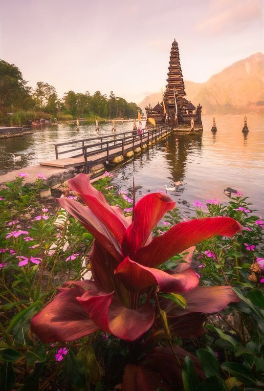 Goose temple фото превью