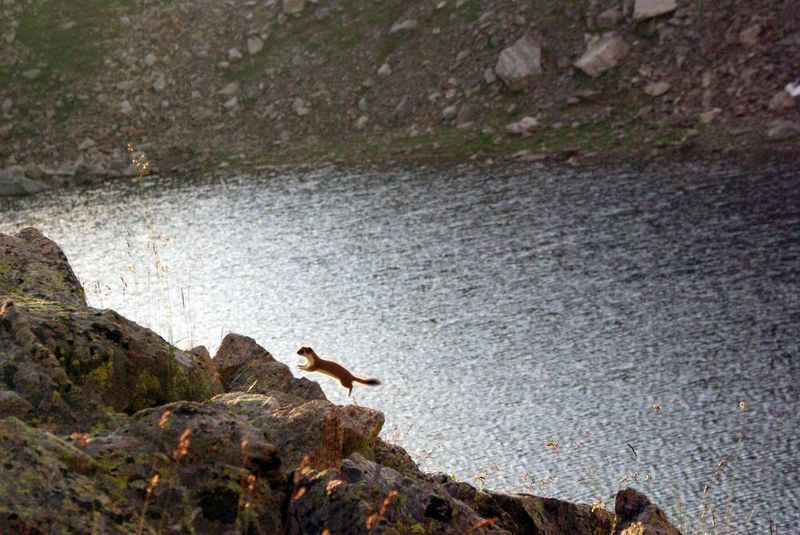архыз Пролетая над ... фото превью