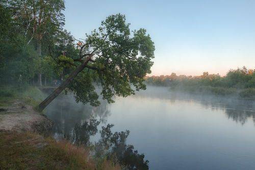 Сонный берег