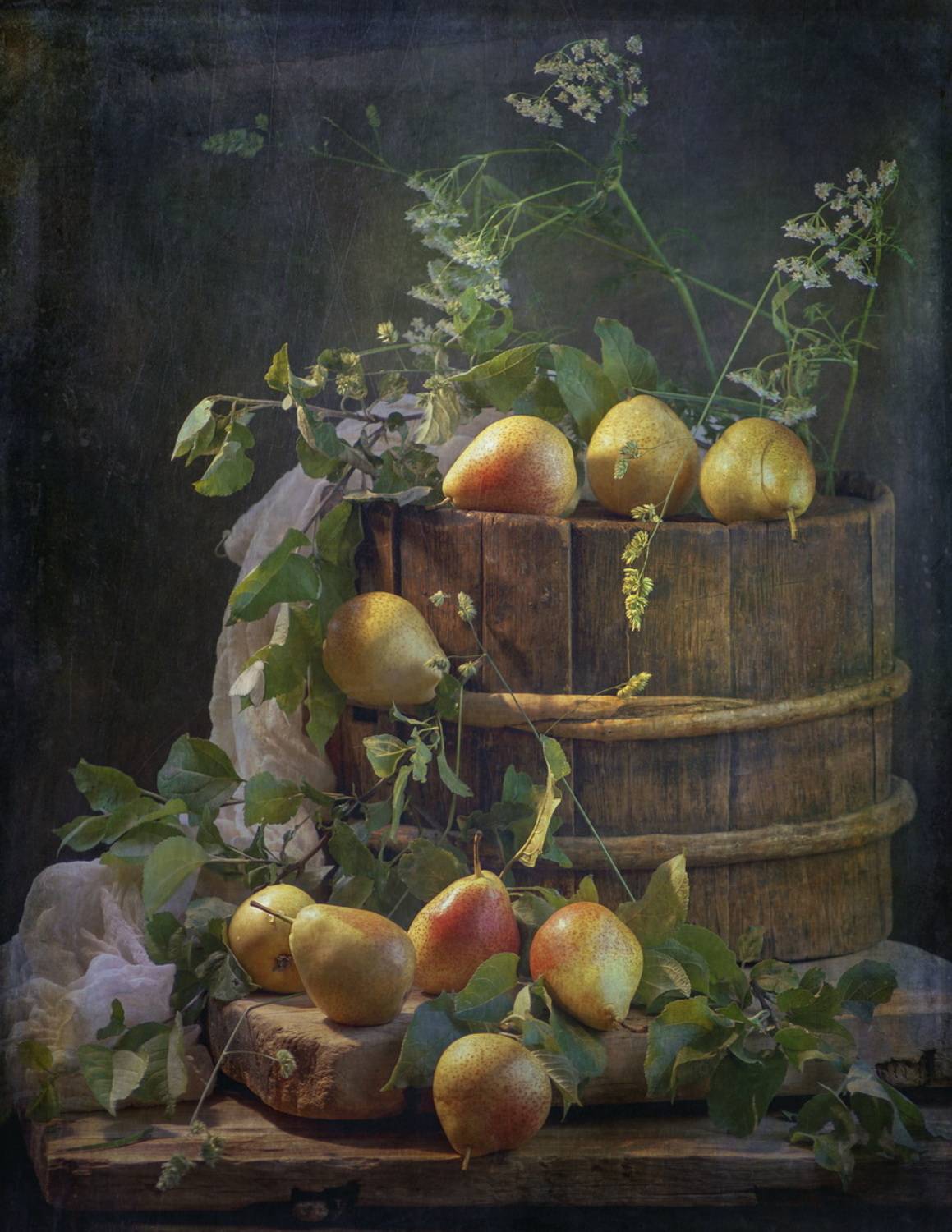 , Сушкевич Светлана