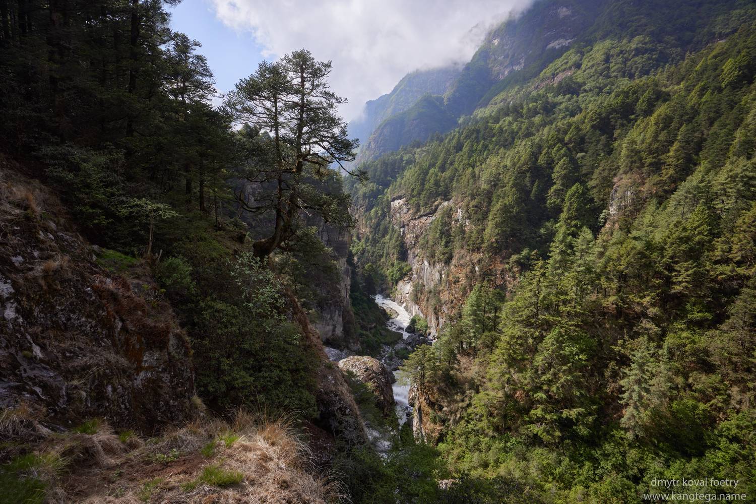 пейзажемагьё, пейзаж-как-виденье, Коваль Дмитр