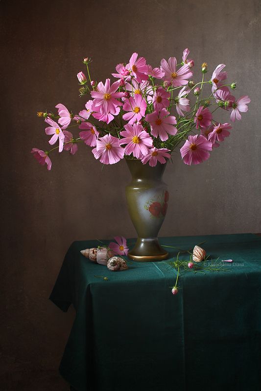 натюрморт, цветы, космеи Космеи фото превью